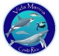 Vida Marina Foundation